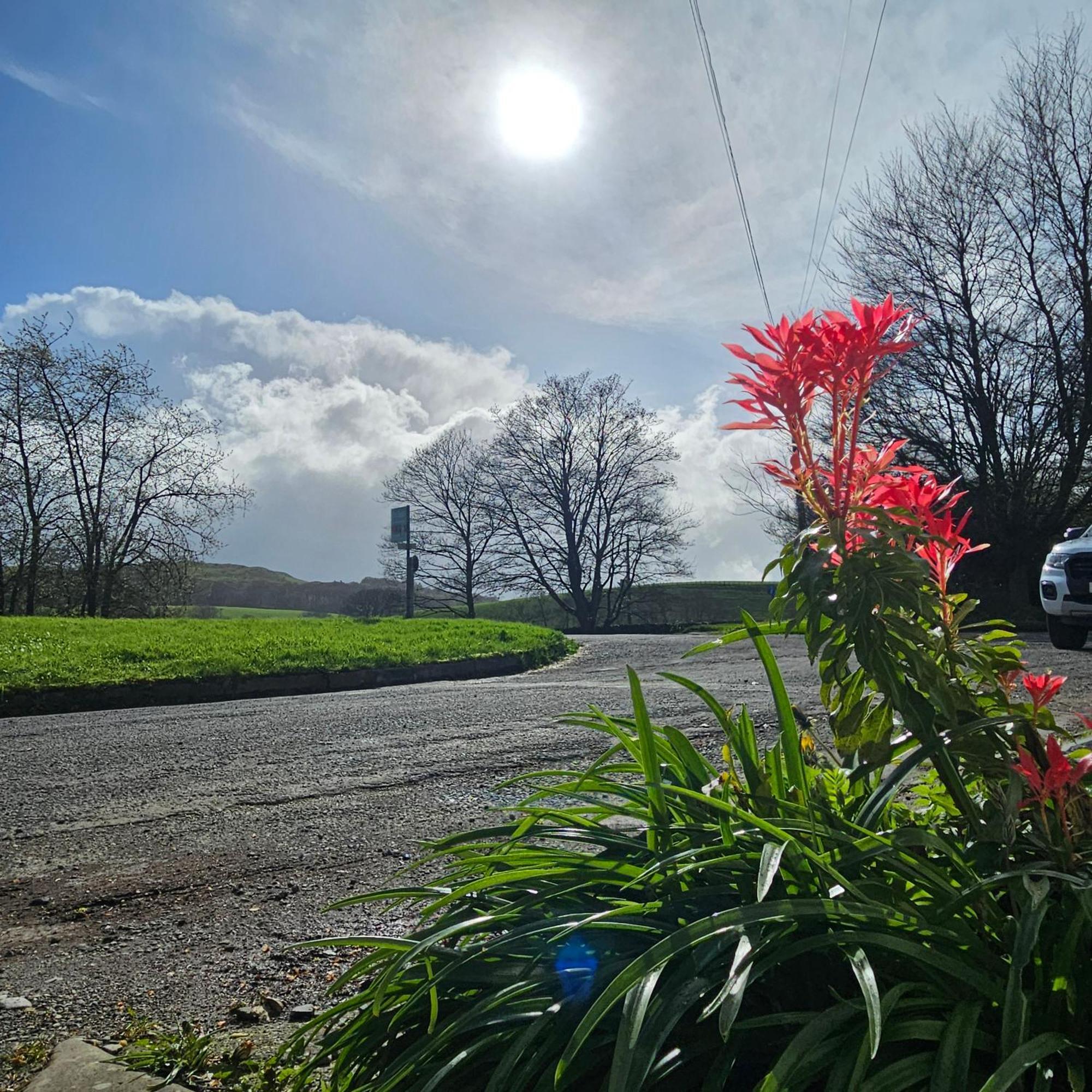 Holiday home Bobtail By Woodland Park Staveley (Cumbria)